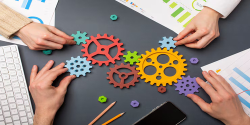 Organization-level lead management